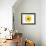 Yellow Gerbera-Christine Zalewski-Framed Art Print displayed on a wall