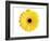 Yellow Gerbera-Christine Zalewski-Framed Art Print