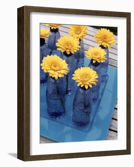 Yellow Gerberas in Blue Bottles-Elke Borkowski-Framed Photographic Print