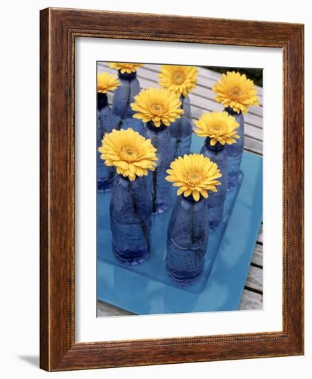 Yellow Gerberas in Blue Bottles-Elke Borkowski-Framed Photographic Print