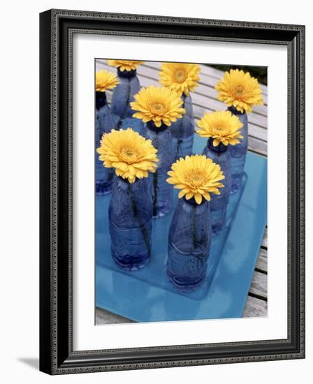 Yellow Gerberas in Blue Bottles-Elke Borkowski-Framed Photographic Print