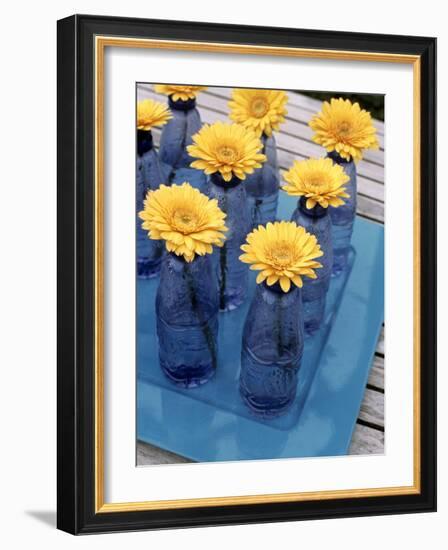 Yellow Gerberas in Blue Bottles-Elke Borkowski-Framed Photographic Print