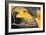 Yellow Gingko II-Rita Crane-Framed Photo