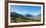 Yellow grass field with large mountains in the distance, South Island, New Zealand, Pacific-Logan Brown-Framed Photographic Print