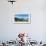 Yellow grass field with large mountains in the distance, South Island, New Zealand, Pacific-Logan Brown-Framed Photographic Print displayed on a wall