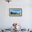 Yellow grass field with large mountains in the distance, South Island, New Zealand, Pacific-Logan Brown-Framed Photographic Print displayed on a wall