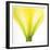 Yellow Green Lily Abstract No 338-Shams Rasheed-Framed Giclee Print