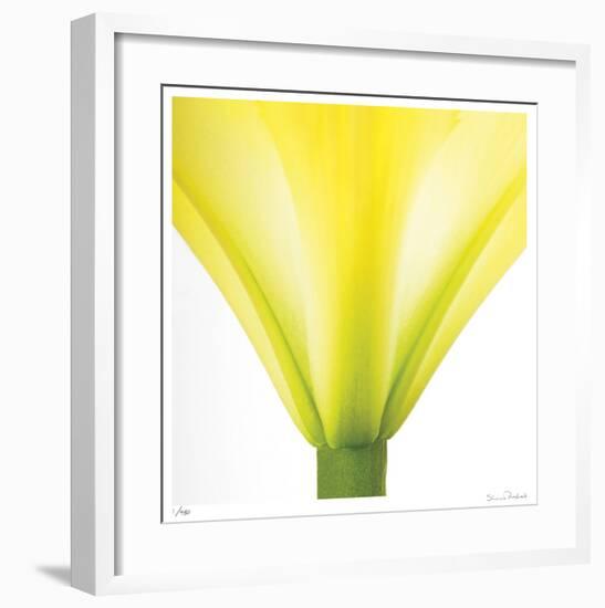 Yellow Green Lily Abstract No 338-Shams Rasheed-Framed Giclee Print