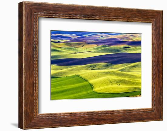 Yellow Green Wheat Fields Black Dirt Fallow Land from Steptoe Butte at Palouse, Washington State-William Perry-Framed Photographic Print