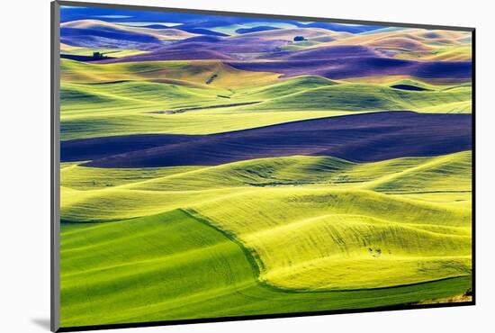 Yellow Green Wheat Fields Black Dirt Fallow Land from Steptoe Butte at Palouse, Washington State-William Perry-Mounted Photographic Print