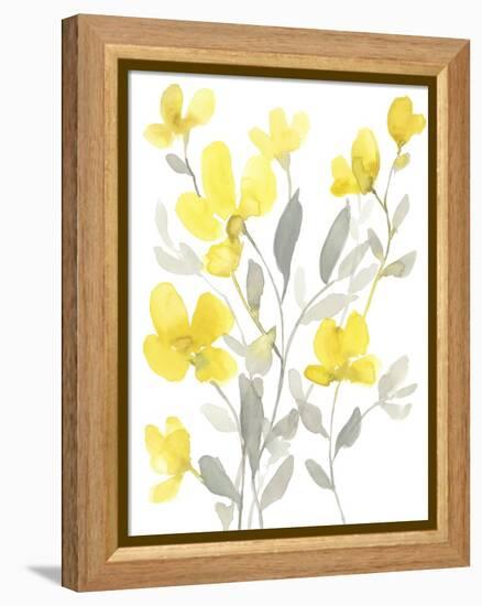 Yellow & Grey Garden I-Jennifer Goldberger-Framed Stretched Canvas