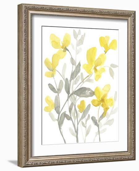 Yellow & Grey Garden II-Jennifer Goldberger-Framed Art Print