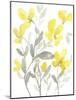 Yellow & Grey Garden II-Jennifer Goldberger-Mounted Art Print