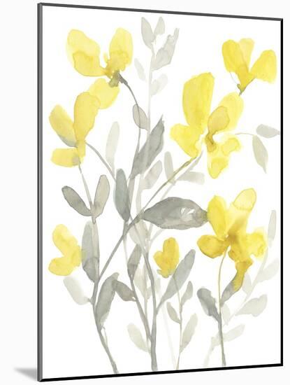 Yellow & Grey Garden II-Jennifer Goldberger-Mounted Art Print