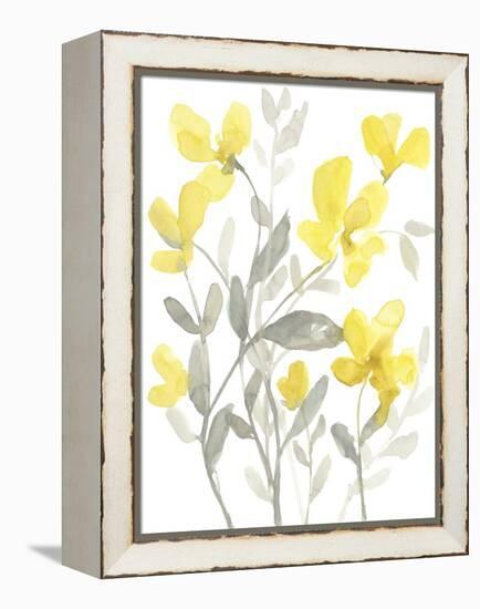 Yellow & Grey Garden II-Jennifer Goldberger-Framed Stretched Canvas