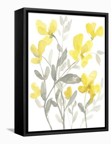 Yellow & Grey Garden II-Jennifer Goldberger-Framed Stretched Canvas