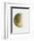 Yellow Half Moon II-Eline Isaksen-Framed Art Print