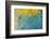 Yellow-Headed Amazon Parrot-Darrell Gulin-Framed Photographic Print