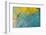 Yellow-Headed Amazon Parrot-Darrell Gulin-Framed Photographic Print