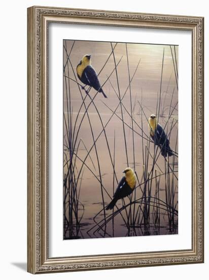 Yellow Headed B Birds-Jeff Tift-Framed Giclee Print