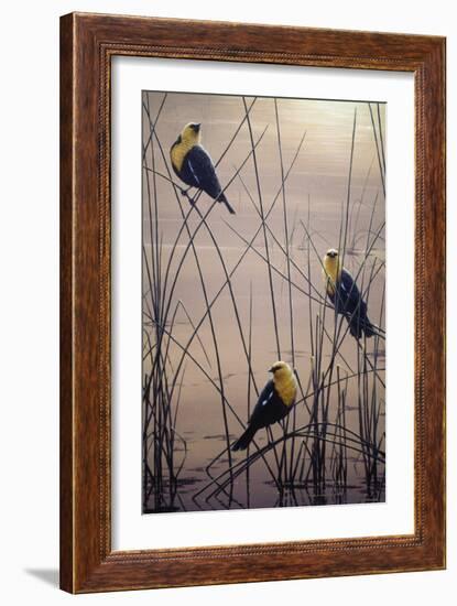 Yellow Headed B Birds-Jeff Tift-Framed Giclee Print