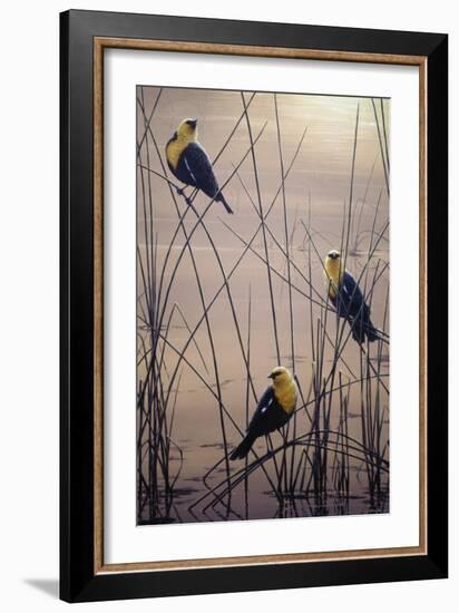 Yellow Headed B Birds-Jeff Tift-Framed Giclee Print