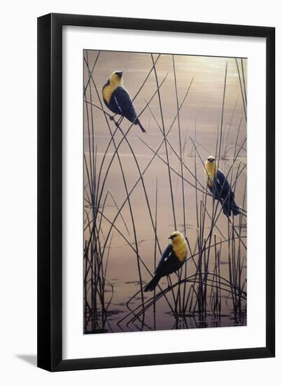 Yellow Headed B Birds-Jeff Tift-Framed Giclee Print