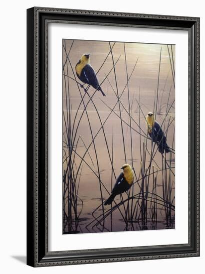 Yellow Headed B Birds-Jeff Tift-Framed Giclee Print