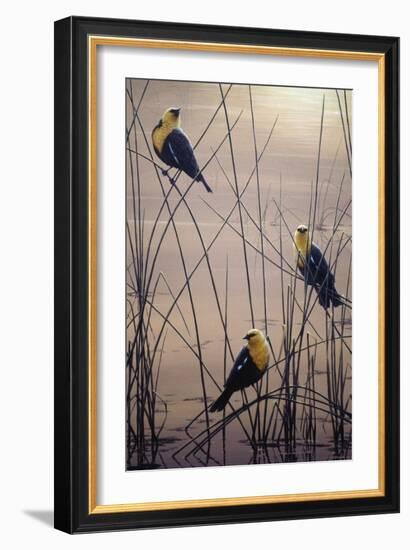 Yellow Headed B Birds-Jeff Tift-Framed Giclee Print