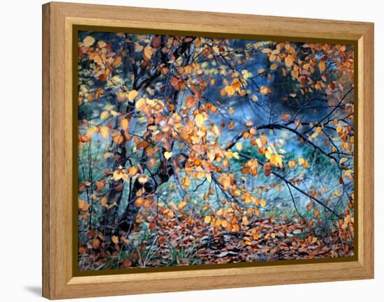 Yellow Heart-Ursula Abresch-Framed Premier Image Canvas