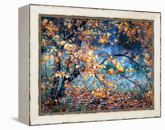 Yellow Heart-Ursula Abresch-Framed Premier Image Canvas