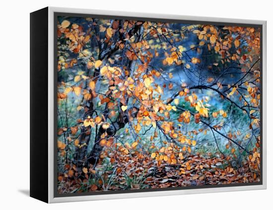 Yellow Heart-Ursula Abresch-Framed Premier Image Canvas