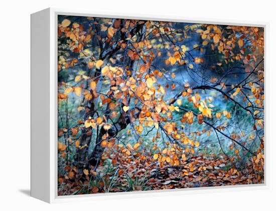 Yellow Heart-Ursula Abresch-Framed Premier Image Canvas