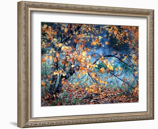 Yellow Heart-Ursula Abresch-Framed Premium Photographic Print