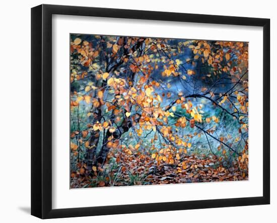 Yellow Heart-Ursula Abresch-Framed Premium Photographic Print