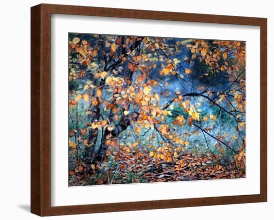 Yellow Heart-Ursula Abresch-Framed Photographic Print