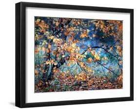 Yellow Heart-Ursula Abresch-Framed Photographic Print
