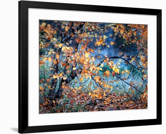 Yellow Heart-Ursula Abresch-Framed Photographic Print