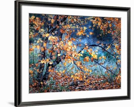 Yellow Heart-Ursula Abresch-Framed Photographic Print