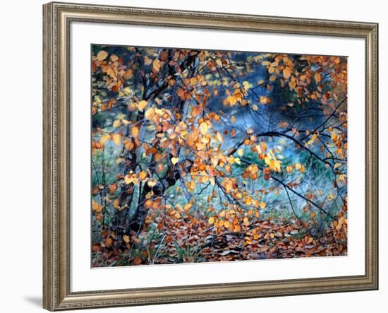 Yellow Heart-Ursula Abresch-Framed Photographic Print