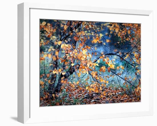 Yellow Heart-Ursula Abresch-Framed Photographic Print