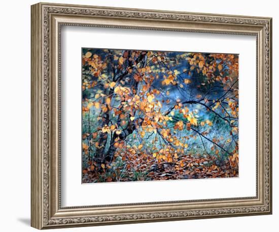 Yellow Heart-Ursula Abresch-Framed Photographic Print