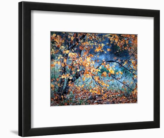 Yellow Heart-Ursula Abresch-Framed Photographic Print