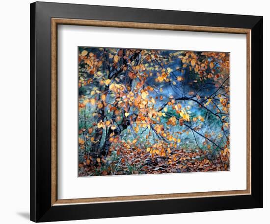 Yellow Heart-Ursula Abresch-Framed Photographic Print