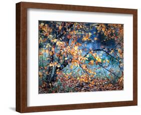 Yellow Heart-Ursula Abresch-Framed Photographic Print