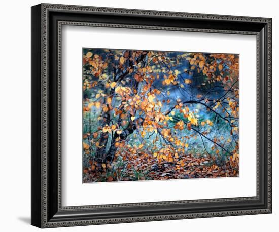 Yellow Heart-Ursula Abresch-Framed Photographic Print