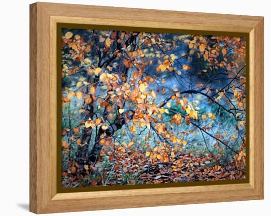 Yellow Heart-Ursula Abresch-Framed Premier Image Canvas