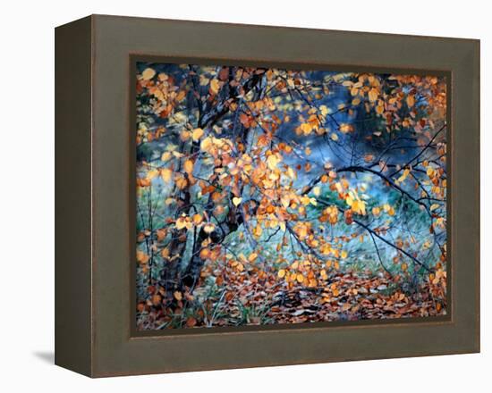 Yellow Heart-Ursula Abresch-Framed Premier Image Canvas