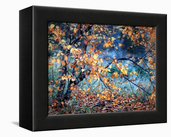 Yellow Heart-Ursula Abresch-Framed Premier Image Canvas