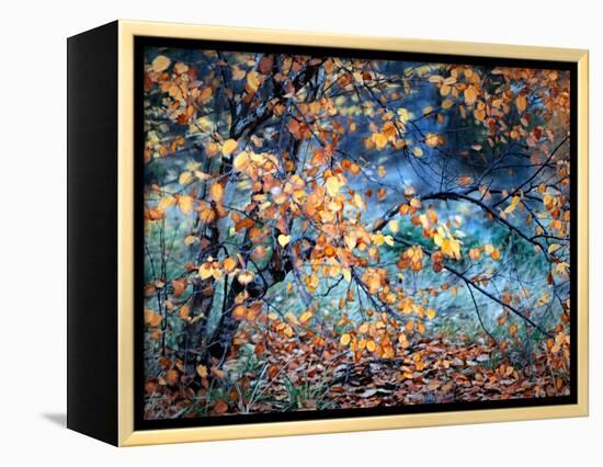 Yellow Heart-Ursula Abresch-Framed Premier Image Canvas